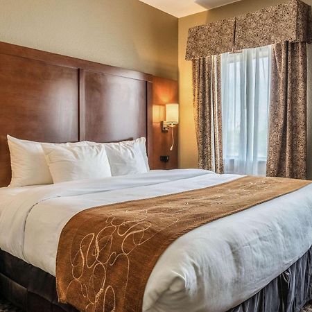 Comfort Suites Near Texas State University Сан Маркос Екстериор снимка
