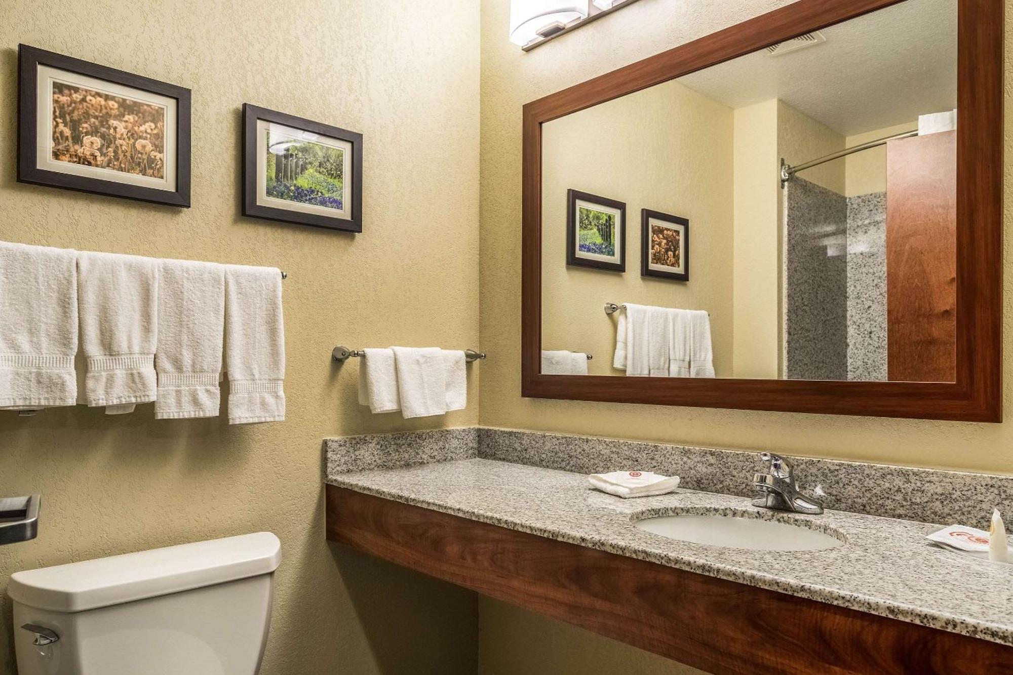 Comfort Suites Near Texas State University Сан Маркос Екстериор снимка